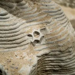 Gelaagde zand- en steenstructuren tonen prachtige patronen in de natuur, met een klein, stervormig object in het midden.