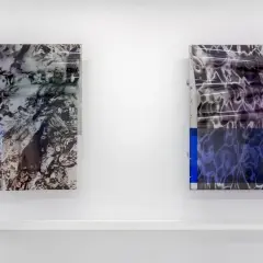 Twee abstracte kunstwerken van Baukje Dijkstra, met golvende patronen die doen denken aan water.
