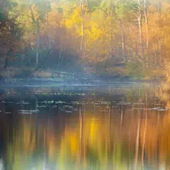 Mooie herfst fotos van een bos met gele en oranje bladeren, weerspiegeld in het rustige water.