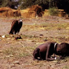 Een uitgehongerd kind, met een aasvogel op de achtergrond. Een schrijnend beeld, misschien wel de mooiste foto ooit gemaakt, die de realiteit van hongersnood toont.
