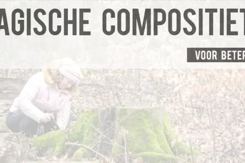 Vrouw met camera in bos, omringd door boomstronken en bladeren. Tekst: "7 magische compositie tips voor betere foto's".