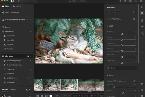 Chipmunk in bos, bewerkt met bekende software voor het bewerken van foto's. De interface toont bewerkingsopties zoals belichting en kleur.