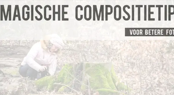 Vrouw met camera in bos, omringd door boomstronken en bladeren. Tekst: "7 magische compositie tips voor betere foto's".