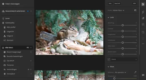 Chipmunk in bos, bewerkt met bekende software voor het bewerken van foto's. De interface toont bewerkingsopties zoals belichting en kleur.