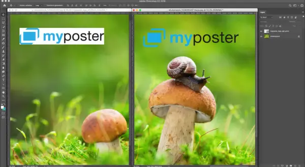 Twee afbeeldingen van paddenstoelen met een slak, links met een logo, rechts met een logo en een slak. Een voorbeeld van hoe je een watermerk toevoegen lightroom.