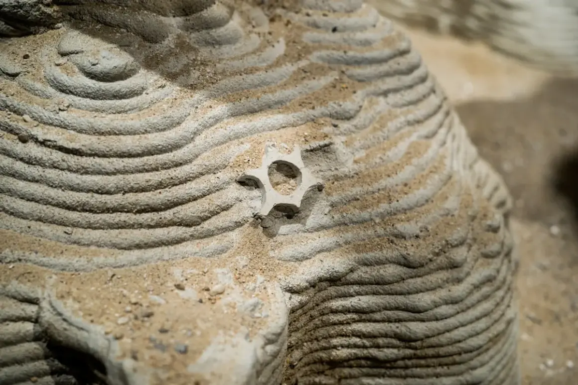 Gelaagde zand- en steenstructuren tonen prachtige patronen in de natuur, met een klein, stervormig object in het midden.