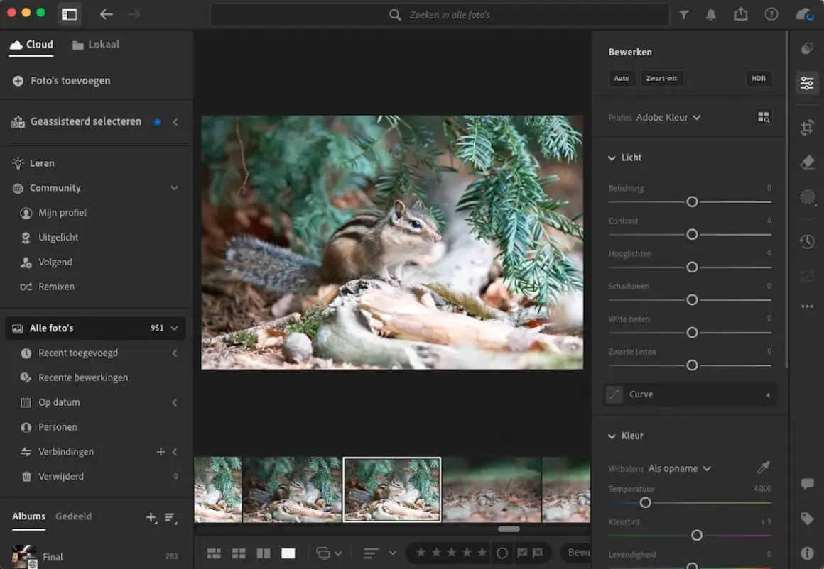 Chipmunk in bos, bewerkt met bekende software voor het bewerken van foto's. De interface toont bewerkingsopties zoals belichting en kleur.