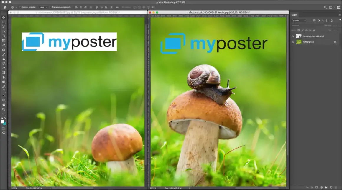 Twee afbeeldingen van paddenstoelen met een slak, links met een logo, rechts met een logo en een slak. Een voorbeeld van hoe je een watermerk toevoegen lightroom.