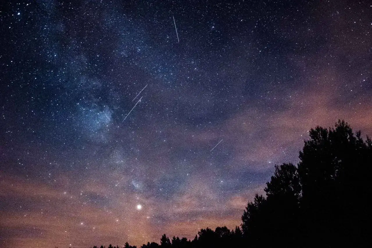 Sterrenregen vastgelegd in deze prachtige astro fotografie. Silhouetten van bomen tegen een hemel vol sterren en vallende sterren.